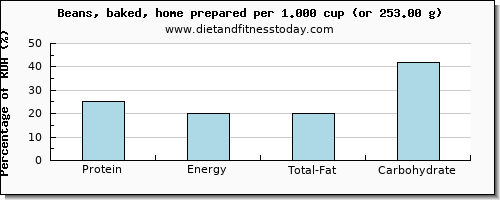 protein and nutritional content in baked beans